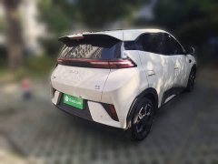 BYD Seagull Smart Driving Edition 305km Freedom Edition - ფოტო 4