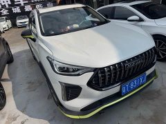 Haval Chitu Jingxiang Edition 1.5T Purple Copper Rabbit - ფოტო 1
