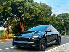 Tesla Model Y Rear-Wheel Drive - ფოტო 1