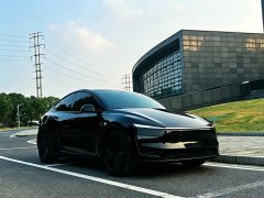 Tesla Model Y Rear-Wheel Drive - ფოტო 2