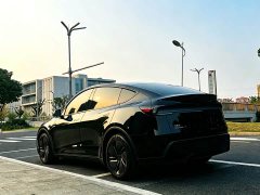 Tesla Model Y Rear-Wheel Drive - ფოტო 4