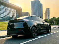 Tesla Model Y Rear-Wheel Drive - ფოტო 5