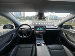 Tesla Model Y Rear-Wheel Drive - ფოტო 8