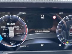 Tank 300 2021 Off-Road Edition 2.0T Conqueror - ფოტო 9