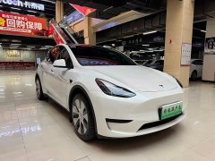 Tesla Model Y 2022 Rear-Wheel Drive - ფოტო 3