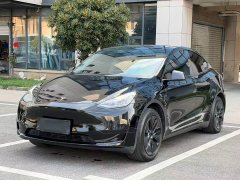 Tesla Model Y 2023 Rear-Wheel Drive - ფოტო 1