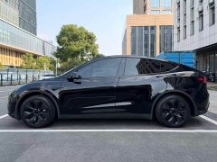 Tesla Model Y 2023 Rear-Wheel Drive - ფოტო 3
