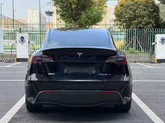 Tesla Model Y 2023 Rear-Wheel Drive - ფოტო 5