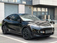 Tesla Model Y 2023 Rear-Wheel Drive - ფოტო 8