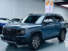 Great Wall Dachshund 2026 1.5T DCT Border Collie Edition - ფოტო 1