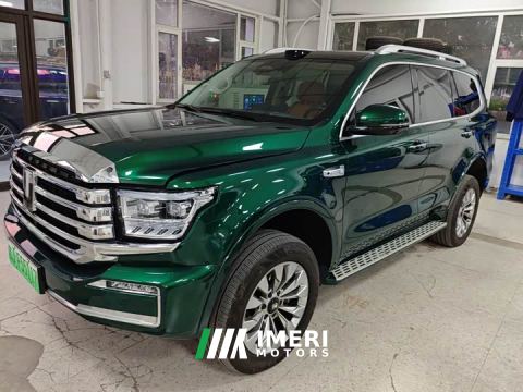 2025 Tank 500 New Energy Hi4-Z Smart Comfort Edition