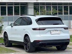 Porsche Cayenne 3.0T Platinum Edition - ფოტო 6