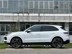 Porsche Cayenne 3.0T Platinum Edition - ფოტო 7