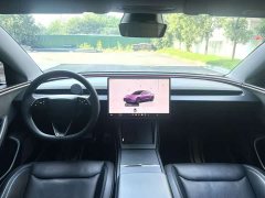Tesla Model 3 2023 Rear-Wheel Drive - ფოტო 12