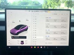 Tesla Model 3 2023 Rear-Wheel Drive - ფოტო 14