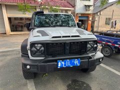 Tank 300 2.0T Gasoline Conqueror - ფოტო 2
