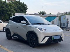 BYD Seagull Flying Edition - ფოტო 19