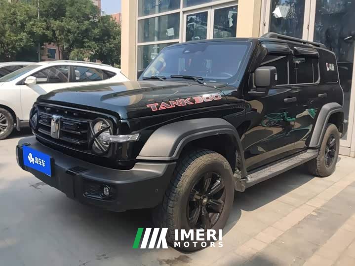 Tank 300 2.0T Gasoline Conqueror - ავტომობილი ჩინეთიდან