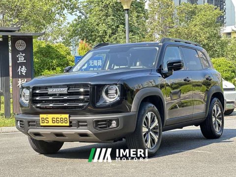 2022 Great Wall Dachshund 1.5T DCT Two-Wheel Drive Labrador Edition - ავტომობილი ჩინეთიდან