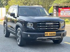 Great Wall Dachshund 1.5T DCT Two-Wheel Drive Labrador Edition - ფოტო 18