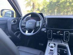 Great Wall Dachshund 1.5T DCT Two-Wheel Drive Labrador Edition - ფოტო 6