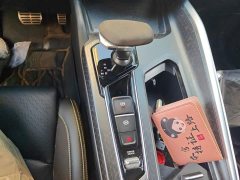 Geely Xingrui 2023 2.0T Diesel Space Edition - ფოტო 10