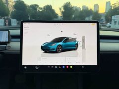 Tesla Model 3 Rear-Wheel Drive - ფოტო 10