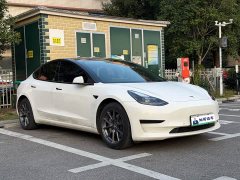 Tesla Model 3 Rear-Wheel Drive - ფოტო 3