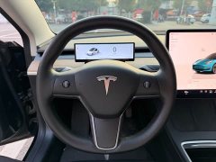 Tesla Model 3 Rear-Wheel Drive - ფოტო 9