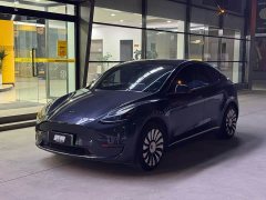 Tesla Model Y Rear-Wheel Drive - ფოტო 1