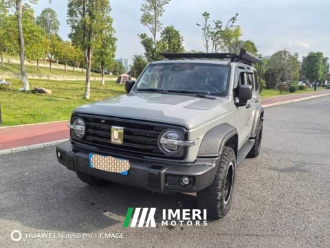2023 Tank 300 2024 2.0T Conqueror - ავტომობილი ჩინეთიდან