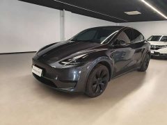 Tesla Model Y Rear-Wheel Drive - ფოტო 1