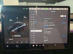 Tesla Model Y Rear-Wheel Drive - ფოტო 14