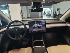 Tesla Model Y Rear-Wheel Drive - ფოტო 8