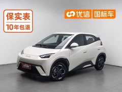 BYD Seagull 2025 305km Freedom Edition - ფოტო 1