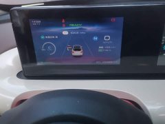 Wuling Binguo 2023 203km Comfort Edition - ფოტო 14