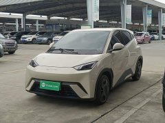 BYD Seagull 2023 Vitality Edition - ფოტო 2