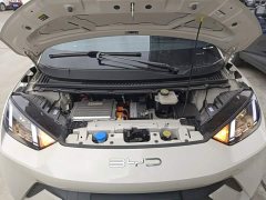 BYD Seagull 2023 Vitality Edition - ფოტო 20
