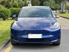 Tesla Model Y Rear-Wheel Drive - ფოტო 1