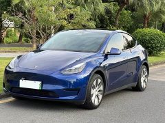 Tesla Model Y Rear-Wheel Drive - ფოტო 2