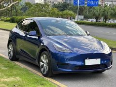 Tesla Model Y Rear-Wheel Drive - ფოტო 3