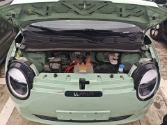 Changan Lumin 205km Pure Fragrance Edition - ფოტო 20
