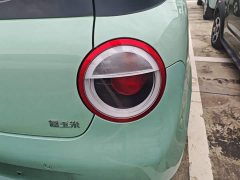 Changan Lumin 205km Pure Fragrance Edition - ფოტო 8