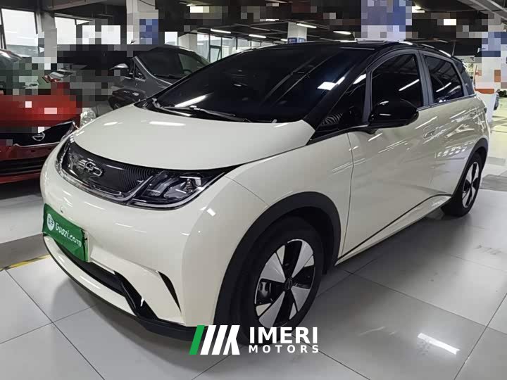 BYD Dolphin 420km Freedom Edition - ავტომობილი ჩინეთიდან