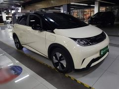 BYD Dolphin 420km Freedom Edition - ფოტო 4