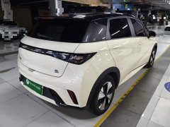 BYD Dolphin 420km Freedom Edition - ფოტო 7