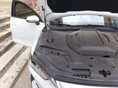BYD Qin PLUS Glory Edition EV 510KM Leading - ფოტო 20