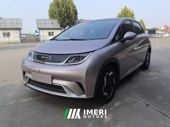 BYD Dolphin 405km Fashion Edition - ავტომობილი ჩინეთიდან