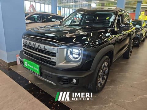 2025 Great Wall Dachshund 2024 2.0T DCT Chinese Rural Dog Edition - ავტომობილი ჩინეთიდან