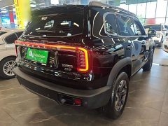 Great Wall Dachshund 2024 2.0T DCT Chinese Rural Dog Edition - ფოტო 7